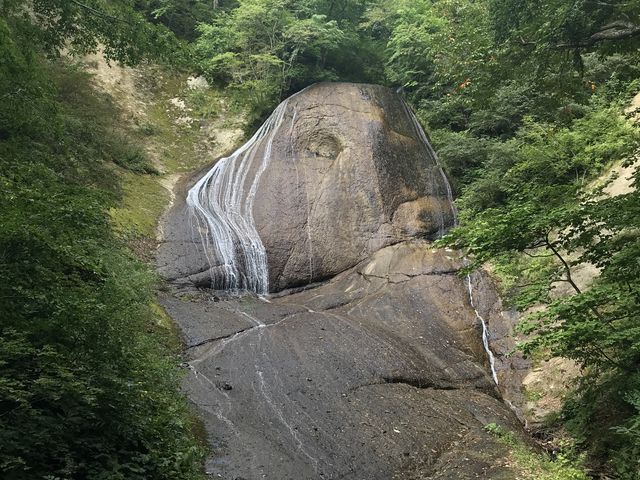 �ڗ͂������B_�݂낭�̑�