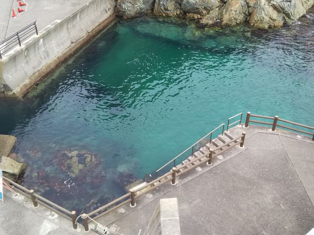 �C���Z���^�[���ォ��B_�����C���Z���^�[