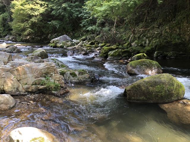 ��_�J���g���[���X�g�����k����