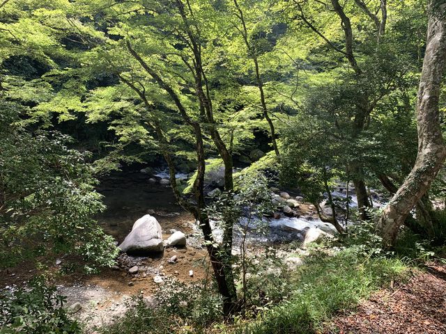 ��_�J���g���[���X�g�����k����