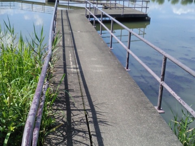 平池公園