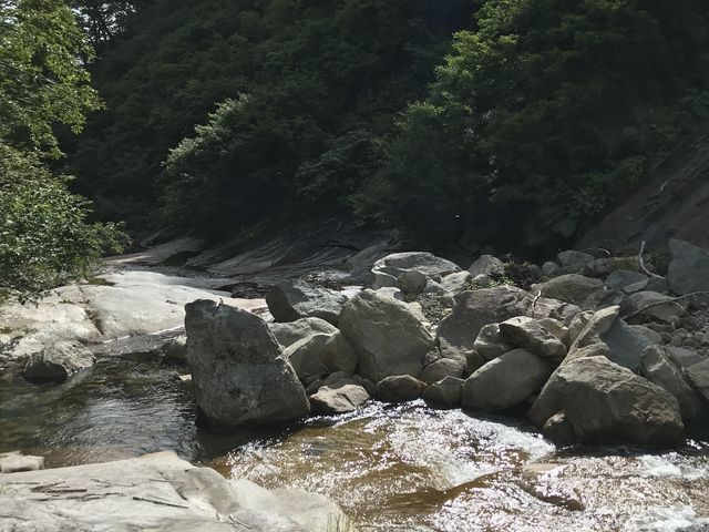 �����̌k���̔������������_���m���k�J�E���̑�