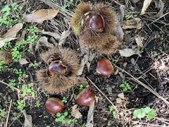 ҂낳̂ӗRiόւ̓eʐ^2