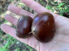 ҂낳̂ӗRiόւ̓eʐ^3