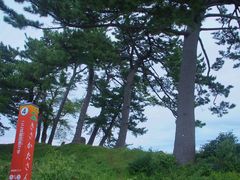 マヤバーさんの天然記念物「象潟」九十九島の投稿写真3