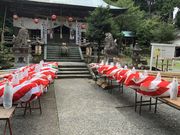 �܂�����񂳂�̑���_�Ђ̓��e�ʐ^2