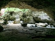 炳炳񂲂̃jeB̓eʐ^2