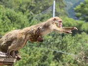 �R���񂳂�̒W�H�������L�[�Z���^�[�W�H�������L�[�Z���^�[�̓��e�ʐ^1