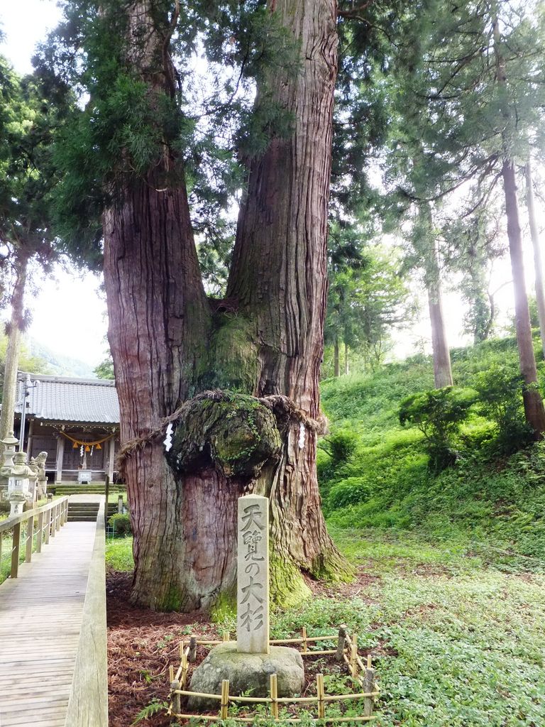 加賀市の動物園 植物園ランキングtop8 じゃらんnet