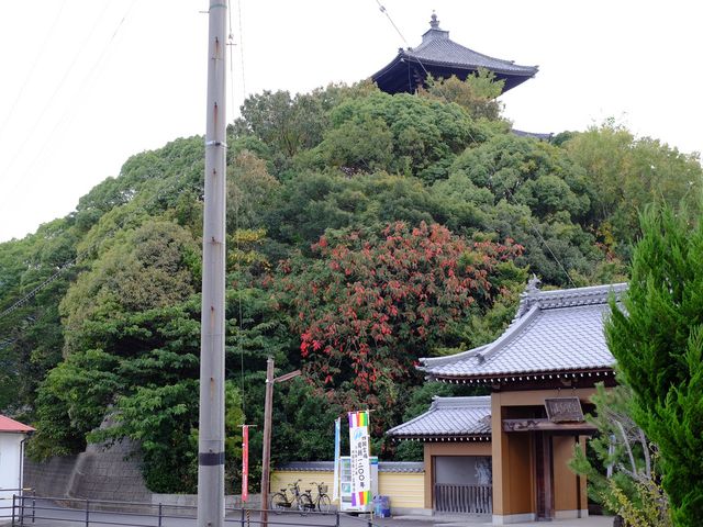 【海岸寺（香川県多度津町）】アクセス・営業時間・料金情報 - じゃらんnet