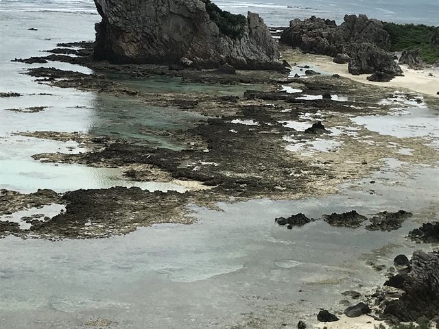 �C�M�^��_�M�^���W�]��