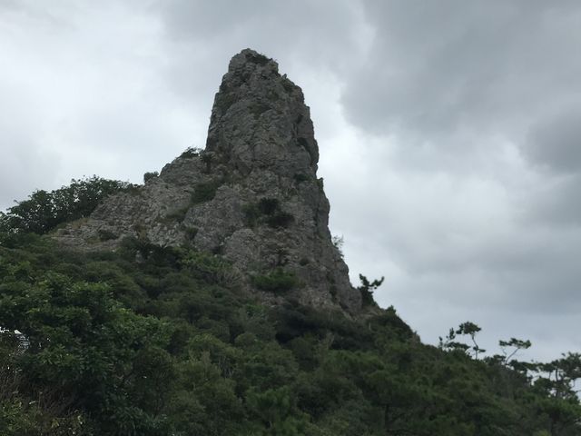 ���M�^��_�M�^���W�]��