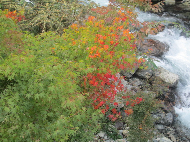 hbp[̕mkJ̍gt̓eʐ^1