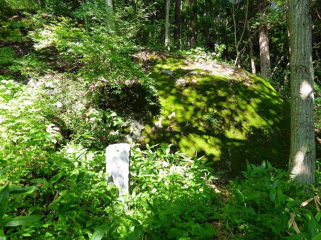 ��茧�E����s�E���� _����