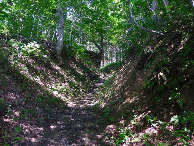 ��茧�E����s�E���� �ւ̓�_����