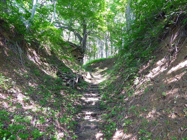 ��茧�E����s�E���΂ւ̓�_����