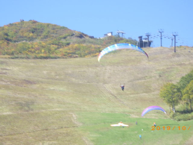 eCNIt_npgsA@ܗpOC_[XN[