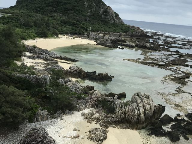 �V���T�M�W�]�䂩�猩���ɐ������_�V���T�M�W�]��