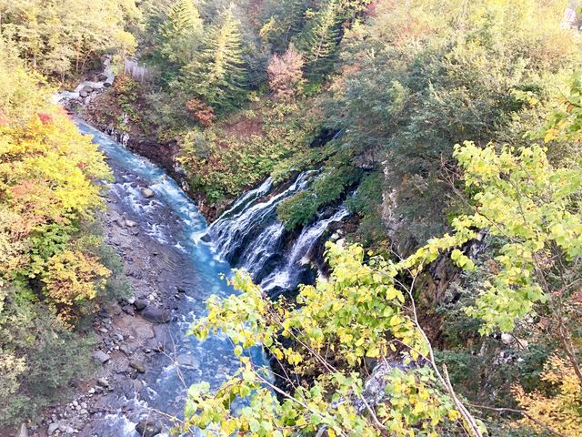 �܂��������ł�_���Ђ��̑�