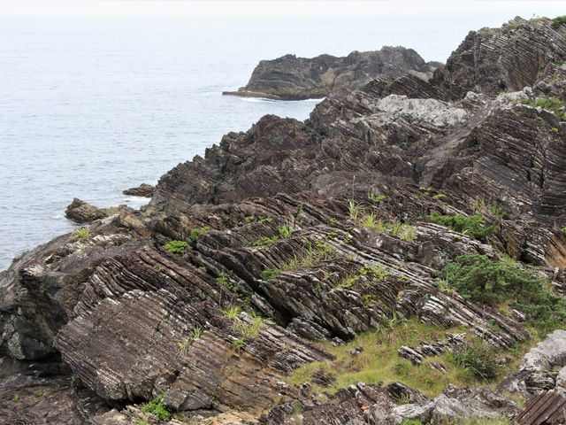 �V�����r���̕��i_������V����