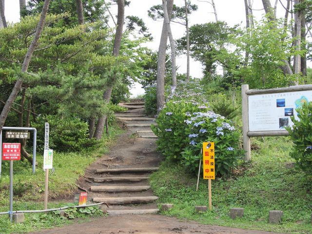 �V���������_������V����