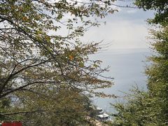 ́[񂳂̒|N[Y(Í`/i΋DD)ւ̓eʐ^1