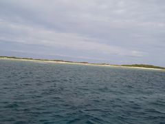 肭}}̌cǊ(P})C攼cA[X@OPGւ̓eʐ^1