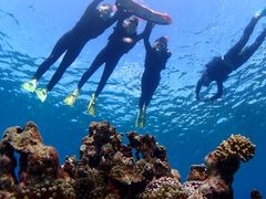 nR^̃GRKChJtFւ̓eʐ^1