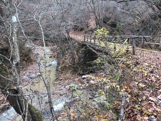 kPĂ郉C_[̎R{skJ̓eʐ^1