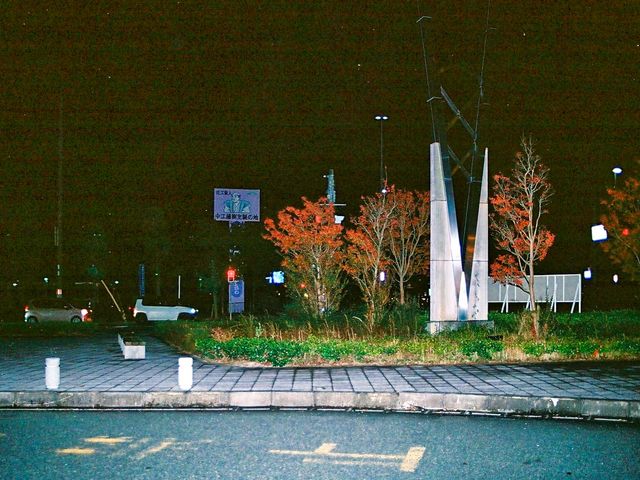 ���̉w�����̗��A�ŔB_���̉w �����̗����ǂ���