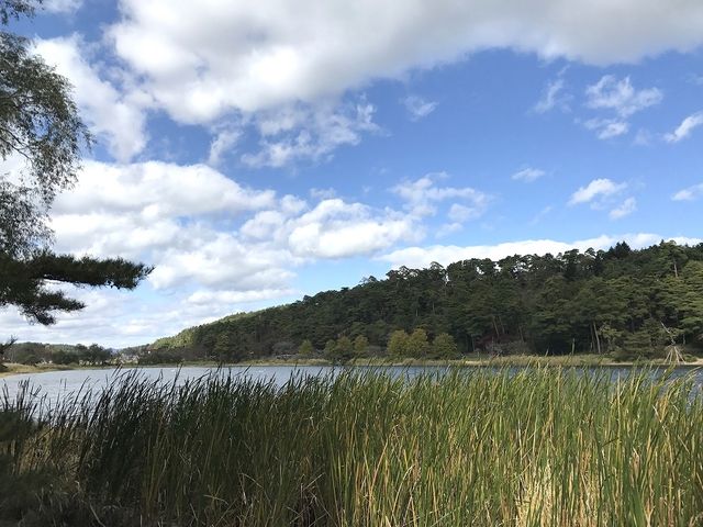 �쑤�͐l�����Ȃ��Â��ł�_���