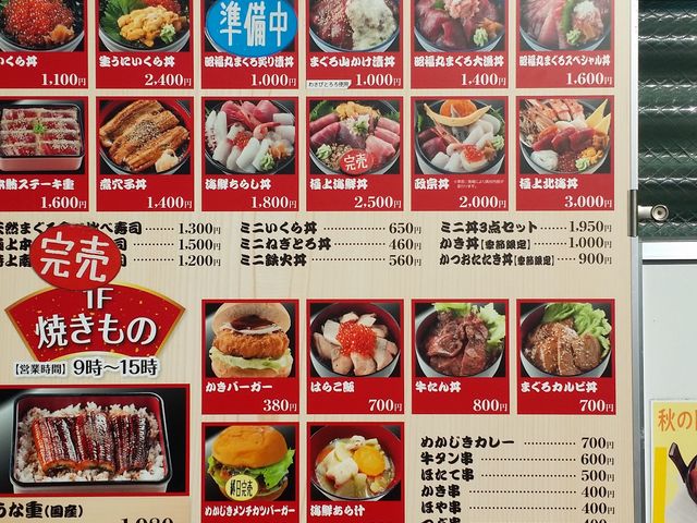 ���j���[_���������Ȏs��