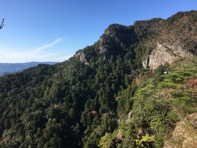 ���V�C�ǂ��A�̂�т�����܂���_�P�����R