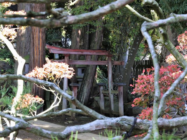 �אڂ��Ă���Â�����_����