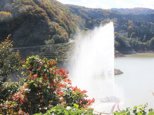 Ƃ񂳂̌RԊ}C̓eʐ^2