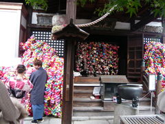 �ނ炳��̔���M�\���ւ̓��e�ʐ^1