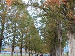 WG̃^ZRCA؂ւ̓eʐ^1