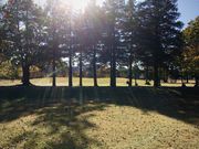 낲ς񂾂̘aь̓eʐ^1