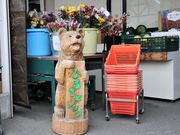 Ƃ񂳂̓̉w ł̓eʐ^2