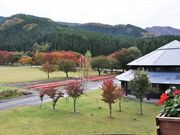 Ƃ񂳂̐_zbgnEXJ̓eʐ^1