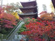 ���܂�����̏�y���O�d���̓��e�ʐ^1