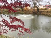 kPĂ郉C_[̒IqՂ̓eʐ^1