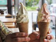 Ƃ񂳂̓̉w  ߂݂̗όYق̓eʐ^2