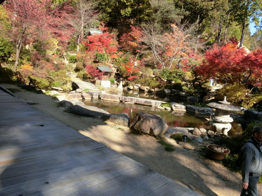 岩根 滋賀県 の公園 庭園ランキングtop1 じゃらんnet