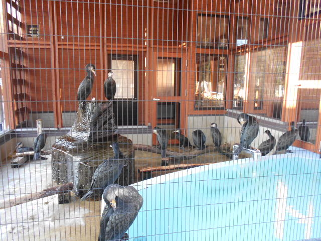 �g�� �L�̗�