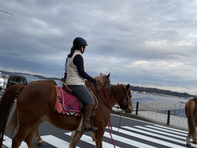 ���̓��̐�͊C�݁B�C�������A�I�X�X���ł��B_�z�[�X�L�����v�@������