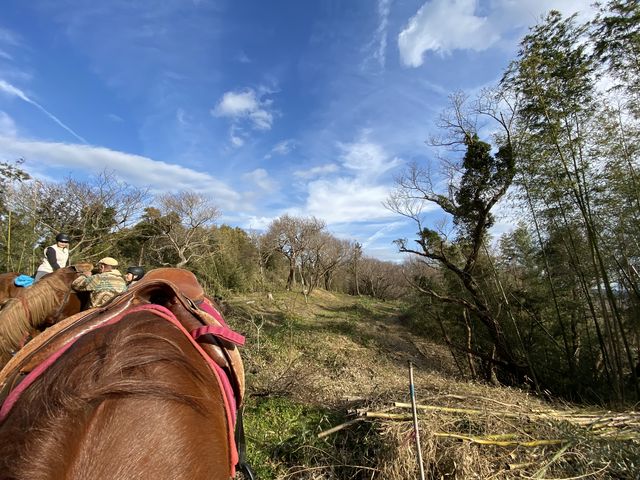 �C��������������s���܂��B_�z�[�X�L�����v�@������