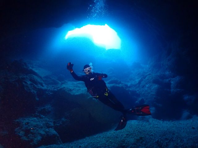 �_��I�ȃP�[�u�_�C�r���O_�{�Ó��_�C�r���O���]�[�gReef