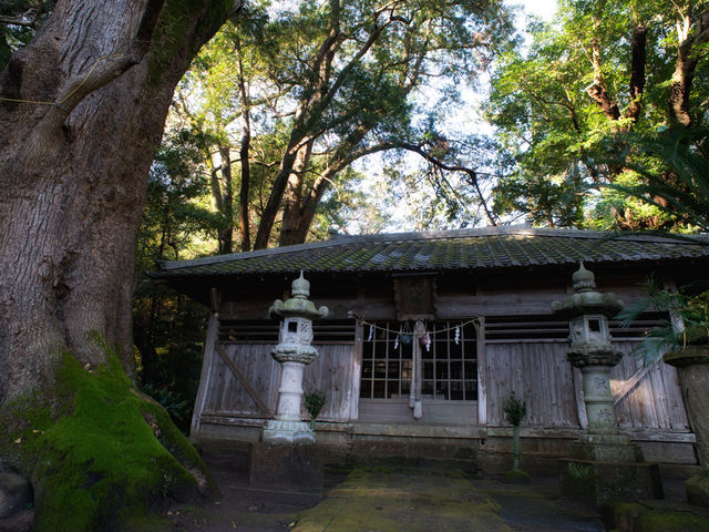正面から。_吉佐美八幡神社