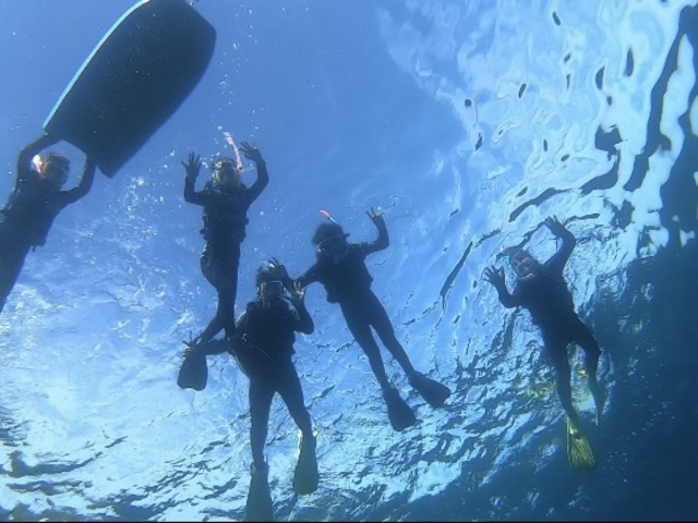 �V���m�[�P��_�̓��A��